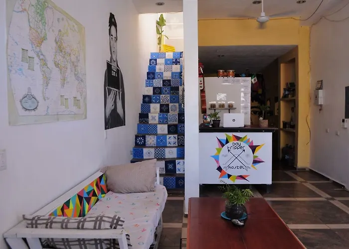 Day Tripper Hostal *
